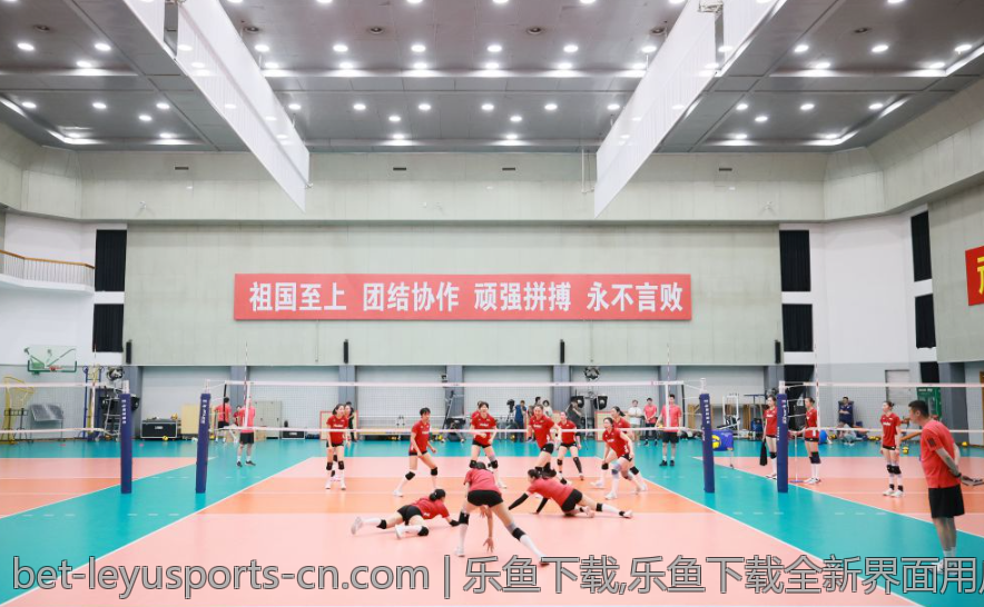 乐鱼下载,乐鱼下载全新界面用户友好